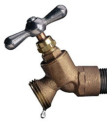 Lead photo