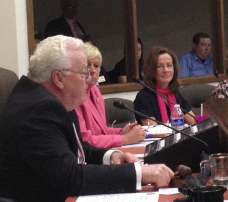 In what became a battle of the two political parties Thursday, Will County Executive Larry Walsh had to cast the ... In what became a battle of the two political parties Thursday, Will County Executive Larry Walsh had to cast the ...