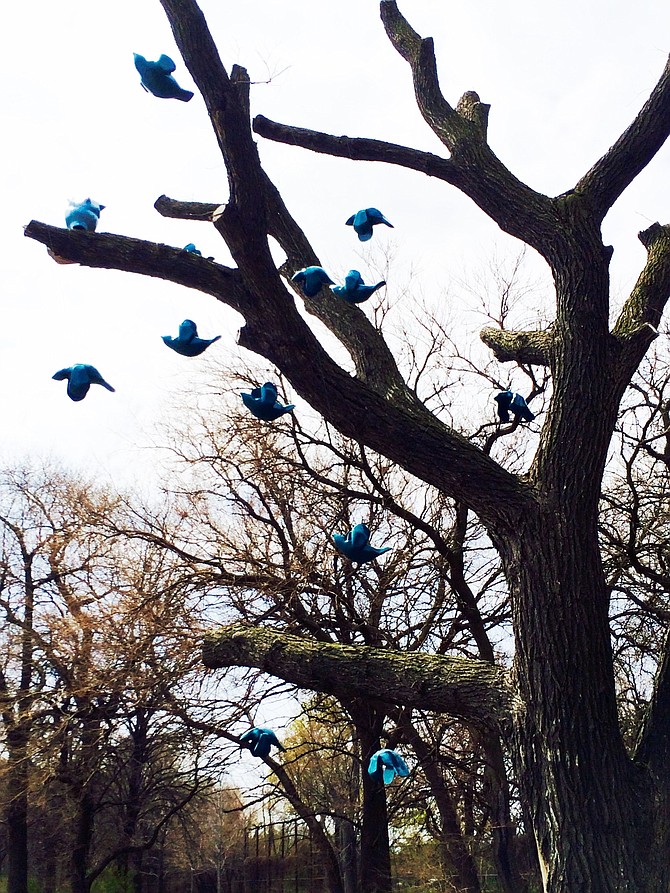 Currently on display in Jackson Park is “Flock” by Margot McMahon. This elm tree, which is more than 125 years old, consists of hanging a cast/sculpted owl with other song birds from the elm tree limbs.