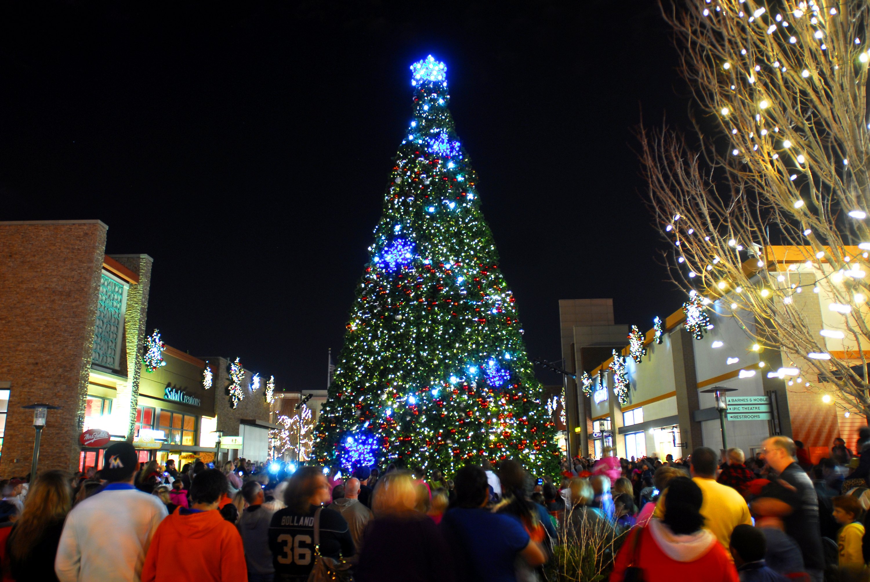 Tree Lighting At Promenade Bolingbrook The Times Weekly