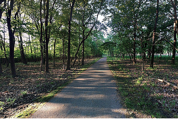 The Forest Preserve District of Will County has extended its facility closures and program cancellations through April 30 as a ... The Forest Preserve District of Will County has extended its facility closures and program cancellations through April 30 as a ...