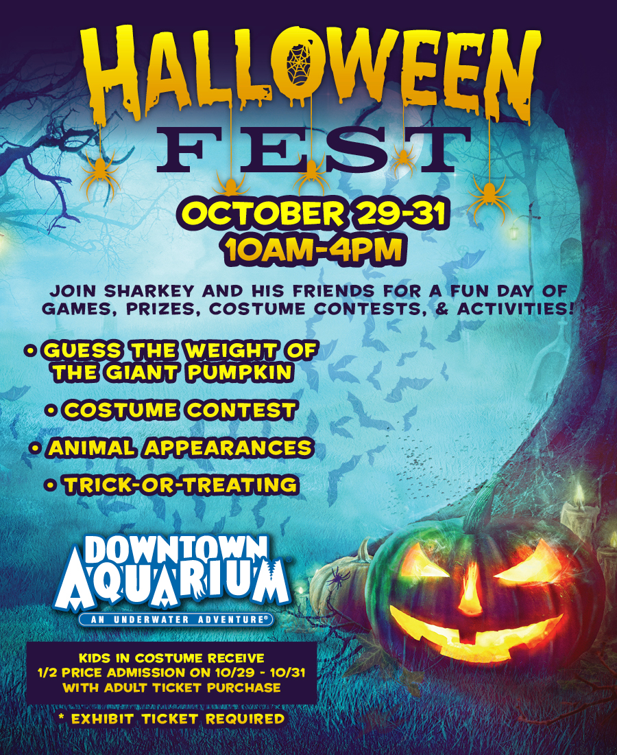 Blue Wahoos to Host Halloween Trick-Or-Treat, Movie and Fireworks Show -  OurSports Central