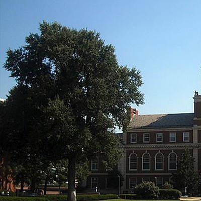 Lead photo