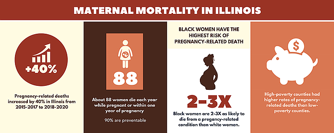 Source: Illinois Department of Public Health , 2023.