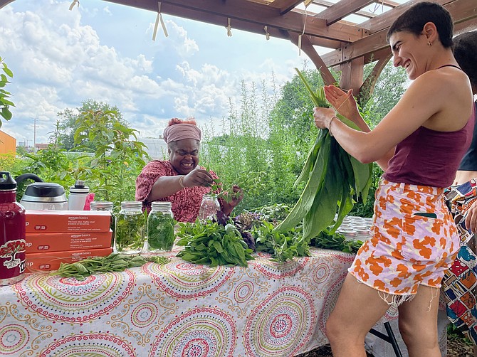 Urban Growers Collective is hosting a series of herbalism events at its South Chicago farm in August. Photo provided by Urban Growers Collective.