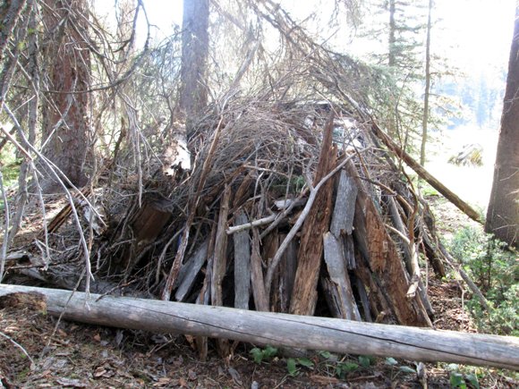 James DiMaggio camouflaged his car in brush, twigs, and logs in the Frank Church River of No Return Wilderness. Law enforcement found the car Friday morning, August 9, 2013 after they received a tip on Thursday that DiMaggio and Hannah Anderson may be in the area. An FBI tactical agent shot and killed DiMaggio, Anderson's alleged abductor, and the suspected murderer of Anderson's younger brother and mother.