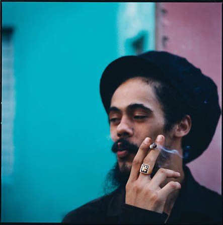 Carib Lingo Damian Marley S Reggae Cruise Offers Something