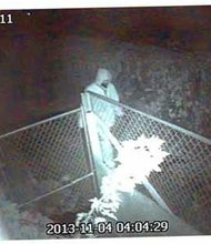 Ford Heights Arsonist