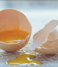 Salmonella eggs