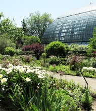 Patrons of the Garfield Park Conservatory on Chicago's west side, can now access free wireless service courtesy of a partnership between Google and the City of Chicago.