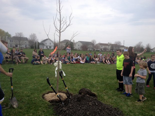 Students wait to start pouring dirt around the base of the new tree.