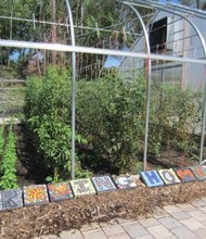 Growing Homes, which currently has gardens in the Englewood and the Back of the Yards neighborhoods will be among the group's taking part in the Chicago Community Trust's "On the Table" planning discussions.