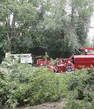 This is the season for hurricanes and tropical storms. To prepare, Dominion Virginia Power is deploying contractors to cut tree limbs that could knock down power lines. Here, workers from a Pennsylvania firm prune trees in the Gilpin Court community north of Downtown. Others are working their way through the alleys of the city and along tree-lined streets in the area.
