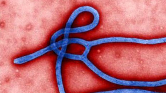 Fears and concerns about the deadly Ebola virus are spreading in Texas and across the nation after a second health ...
