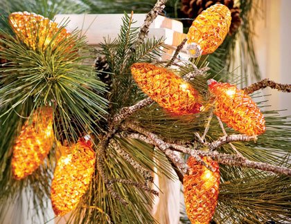 Liven up your holiday décor with lights, a bit of glitz and some colorful blossoms this season. Liven up your holiday décor with lights, a bit of glitz and some colorful blossoms this season.