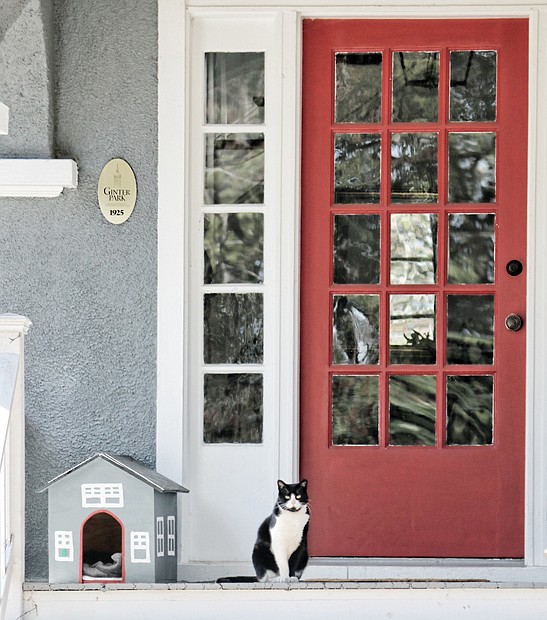 They say cats are curious, so it wasn’t surprising to see this furry feline left the cozy confines of his tiny house on the porch of this home to keep an eye on the neighborhood. Location: The 3700 block of Moss Side Avenue in the Ginter Park community on North Side.