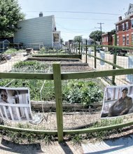 Photos along the fencing celebrate supporters of this community garden in Richmond’s Carver neighborhood. Location: West Leigh and Kinney streets. The garden is one of five the nonprofit organization

Tricycle Gardens has created in the city to promote urban farm- ing, community togetherness, exercise and healthy eating.