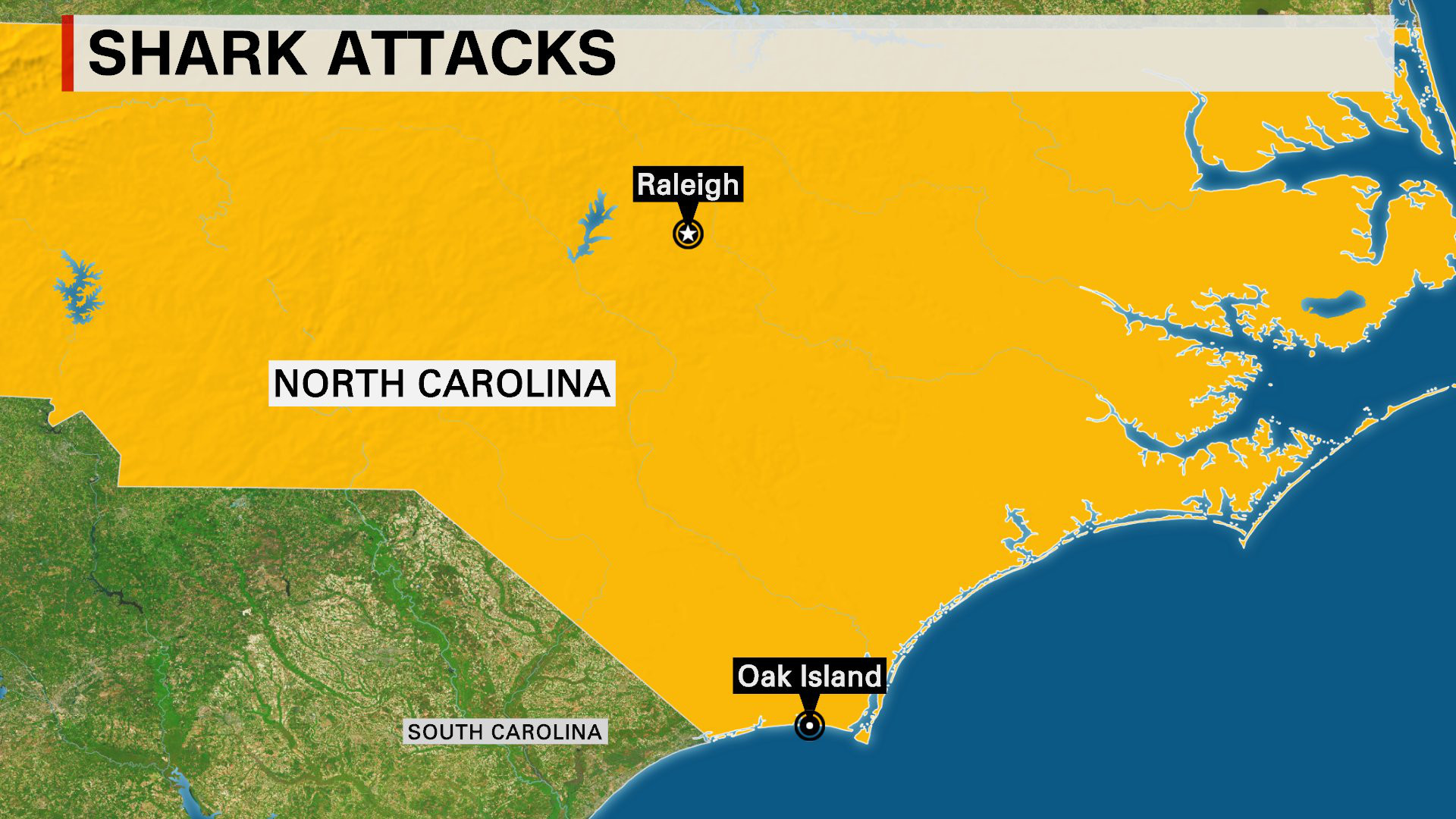 New shark attack reported in North Carolina Houston Style Magazine