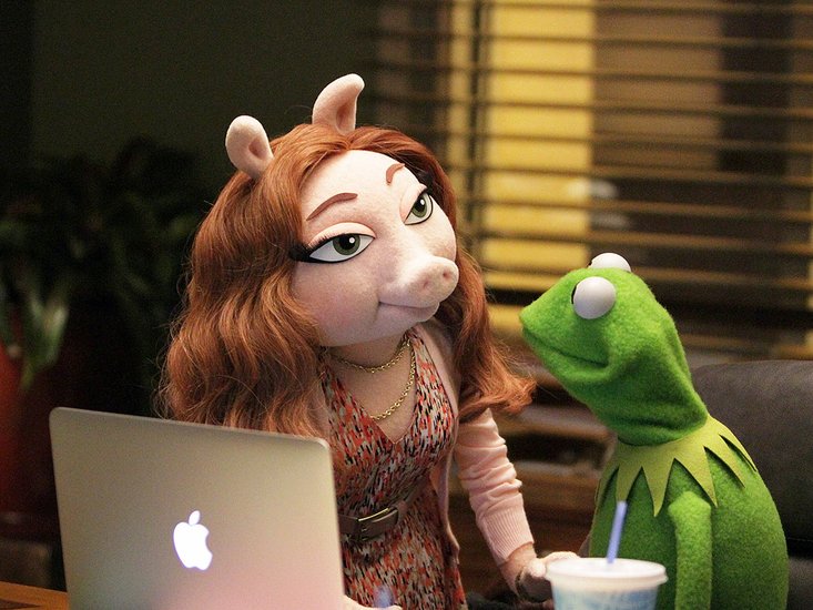 Scratch That Kermit The Frog Quashes Report Hes Got A New Lady Pig