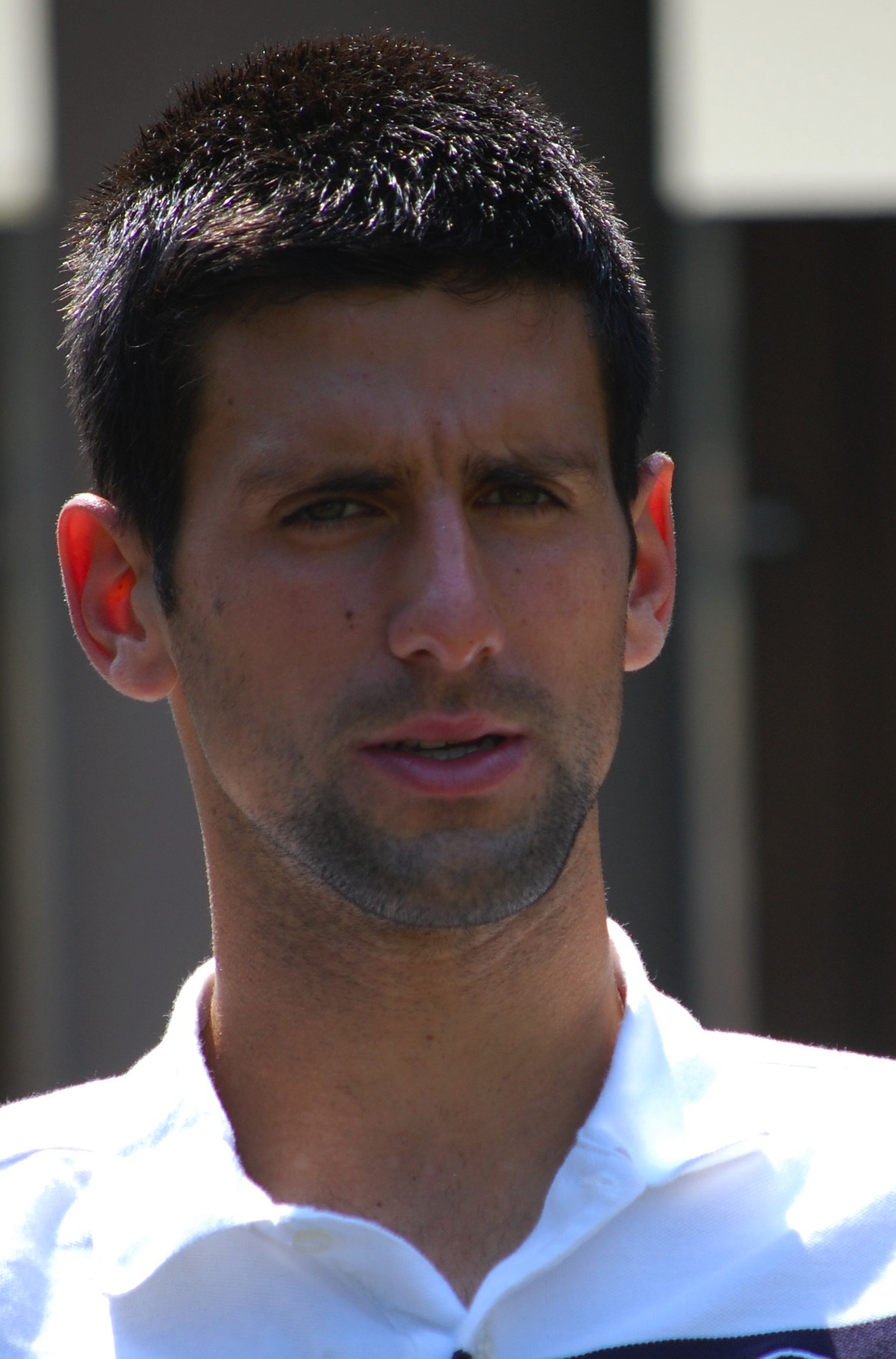 Novak Djokovic rules the world  for now