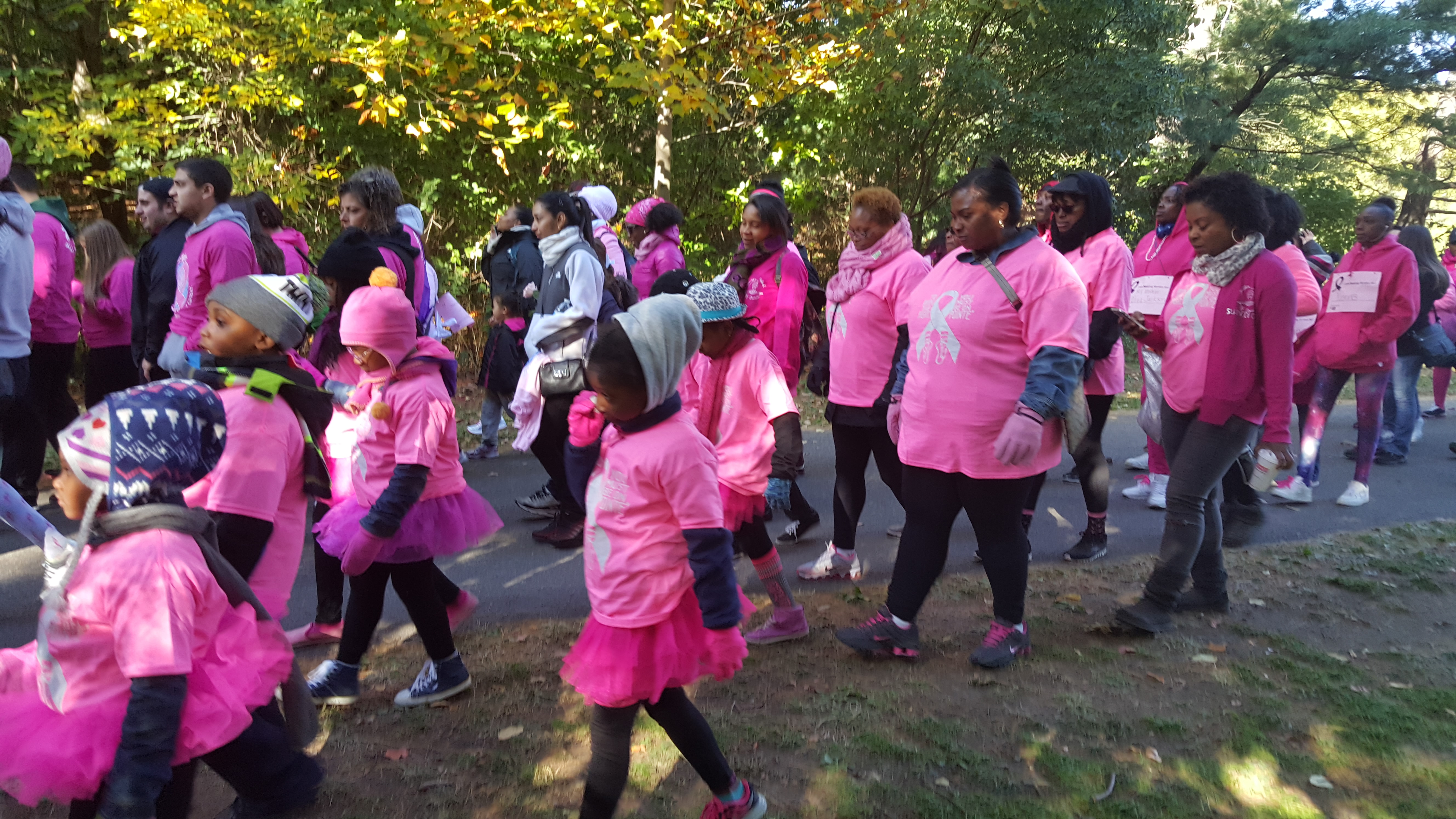 Making Strides Against Breast Cancer Walk New York Amsterdam News
