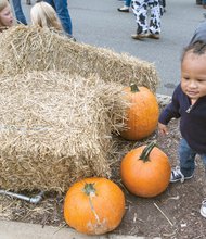 Cute little pumpkin// 

Year-old David Al-Amin is fascinated by the pumpkins
and activities at the Scott’s Addition Pumpkin Festival
last Saturday. Hundreds of people enjoyed entertainment, tasty food, magicians and socializing at the street festival. The Boulevard was open only to pedestrians from Broad Street to Leigh Street for the early Halloween event.