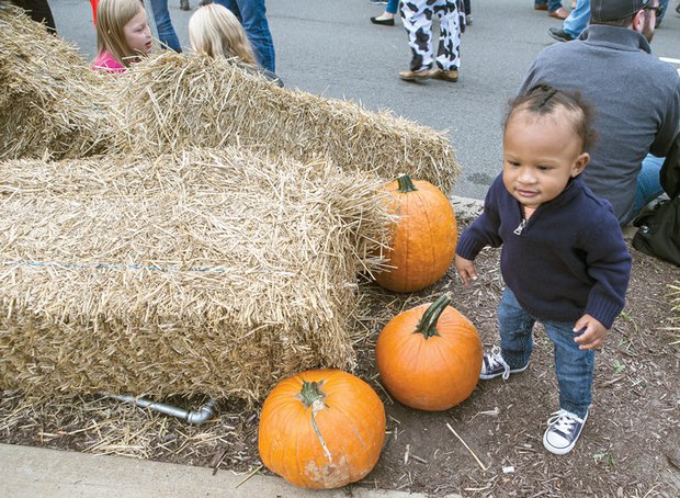 Cute little pumpkin// 

Year-old David Al-Amin is fascinated by the pumpkins
and activities at the Scott’s Addition Pumpkin Festival
last Saturday. Hundreds of people enjoyed entertainment, tasty food, magicians and socializing at the street festival. The Boulevard was open only to pedestrians from Broad Street to Leigh Street for the early Halloween event.