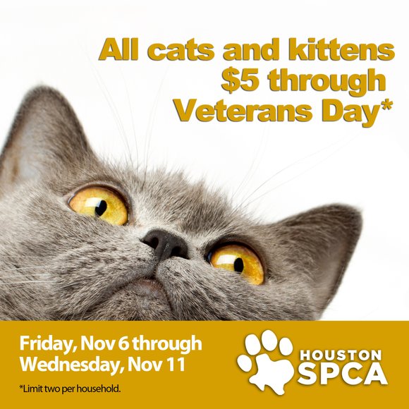 spca $5 adoptions