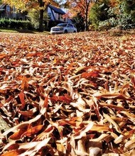 
Leaves blanket the grass at 42nd Street and Stonewall Avenue in South Side — a familiar autumn scene in many areas of Richmond. Rake and blower time has arrived. In a move to save money, the city has pushed back its leaf collection and will limit it to one pass. The start date:  Monday, Nov. 30. The collections will begin in neighborhoods in the North Side, adjacent to Downtown and in the near West End and continue across the city through early February. The work will be delayed if there are snowfalls.  