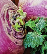 Fresh turnips for the holiday at 17th Street Farmers’ Market