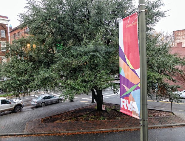 This leafy oak tree growing on a triangle plot Downtown at Broad Street, Adams Street and Brook Road is the subject of a petition drive by people who don’t want it to be cut down for the monument honoring renowned Richmond businesswoman Maggie L. Walker.