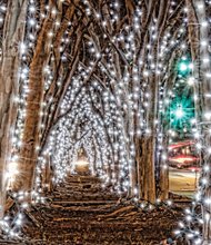 Love Lights on Broad Street in Downtown