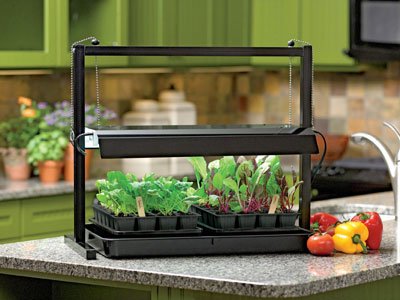 Add some homegrown flavor to your winter meals. From micro-greens to tomatoes, it is possible to grow produce indoors. Add some homegrown flavor to your winter meals. From micro-greens to tomatoes, it is possible to grow produce indoors.