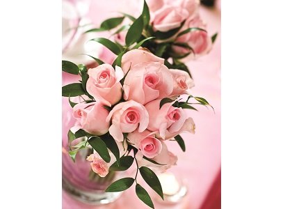 Couples planning their weddings realize pretty quickly just how expensive weddings can be. Depending on where couples tie the knot, ... Couples planning their weddings realize pretty quickly just how expensive weddings can be. Depending on where couples tie the knot, ...