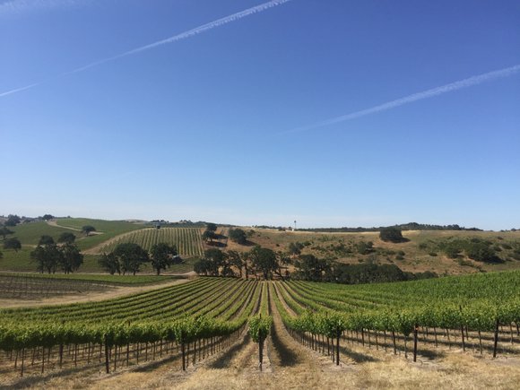 Paso Robles, California - nestled approximately halfway between the cities of Los Angeles and San Francisco along the California’s gorgeous ...