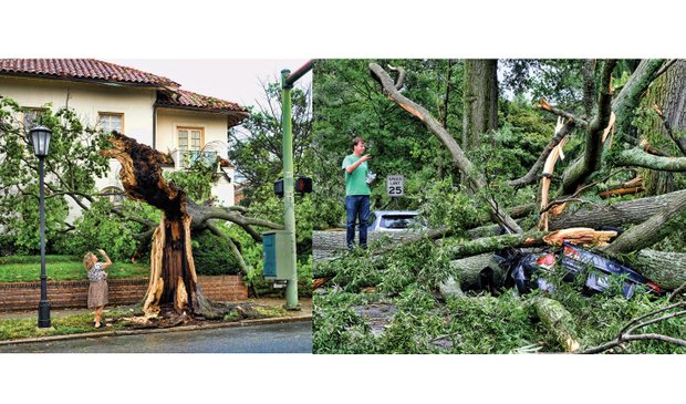 Cityscape //These scenes show examples of the impact of the June 16 storm that hammered Richmond and Henrico County and knocked out power to nearly 120,000 homes and businesses in the two localities. Left, Laurie Petersen photographs a tree split during the raging winds at Monument and Roseneath avenues in the West End. Right, Brad Spangler takes a closer look at a car crushed under trees felled by the storm that packed 70 mph winds and dropped 1.6 inches of rain. Location: Seminary and Claremont avenues in North Side. Richmond area damage estimates ranged from $2 million to $5 million, including $770,000 in damage to 10 Richmond school buildings. Officials said all but $100,000 of the schools damage would be covered by insurance. Dominion brought in hundreds of workers, who helped restore power by late Monday. Fifty crews from the City of Richmond, meanwhile, cleared fallen trees blocking 156 streets and removed 700 tons of tree debris through Tuesday. As of Tuesday night, Byrd Park, Battery Park Pool and Bryan Park had yet to reopen. The city and Henrico County are offering to haul away tree limbs from residents’ property. In the city, residents can place limbs and brush near the curb or alley for pickup. County residents must register for service at (804) 501-4275 or online at www.henrico.us/services/storm-debris-pickup. The county’s deadline to sign up is Friday, June 24.     
