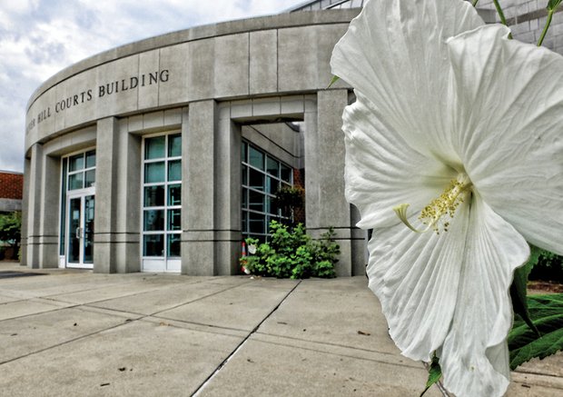 Giant hibiscus at Oliver Hill Courts Building