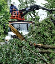 Cleanup is still underway after the June 16 storm. Here a city worker uses heavy machinery to pick up a mass of fallen limbs on Claremont Avenue. More than 900 city trees were toppled during the event, and some were weakened enough to fall days later.  