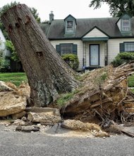 Cityscape // This huge stump on North Side symbolizes the City of Richmond’s continuing struggle to clean up from the damaging storms that ripped through Richmond this summer. Location: 3504 Hazelhurst Ave. Nearly two months have passed since the June 16 storm that felled at least 900 city-owned trees, including this one in front of the home of retired nurse Rosie Lee Woods. 