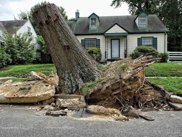 Cityscape // This huge stump on North Side symbolizes the City of Richmond’s continuing struggle to clean up from the damaging storms that ripped through Richmond this summer. Location: 3504 Hazelhurst Ave. Nearly two months have passed since the June 16 storm that felled at least 900 city-owned trees, including this one in front of the home of retired nurse Rosie Lee Woods. 