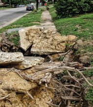 Cityscape // City contractors removed huge branches and most of the tree’s trunk, but to Ms. Woods’ dismay, left this mess. It’s opportunity time for the city to show it can complete the job of removing the tree and replacing the heavily damaged sidewalk.     