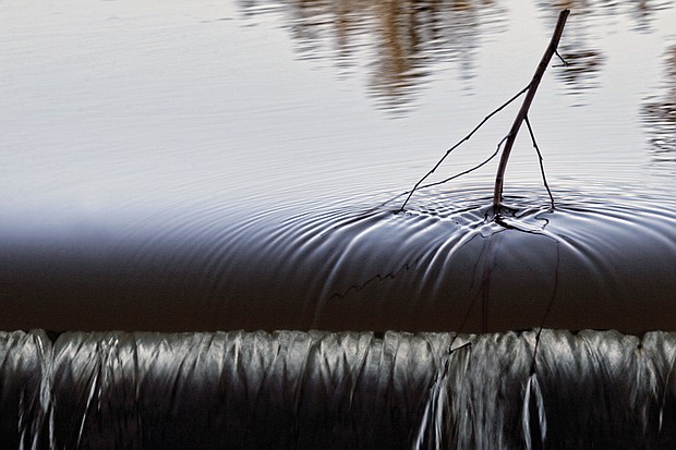 Twig caught in Kanawha Canal near Great Ship Lock Park