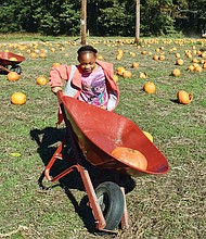 Pumpkin run //
Kamyra Hall, 8, is on the lookout for her next pumpkin pick at the Pumpkin Patch at Gallmeyer Farms in Eastern Henrico. Children of all ages excitedly picked pumpkins last Sunday, ran through a maze of hay bales, took a spooky house tour and went on hay rides at the farm that is open through Halloween.