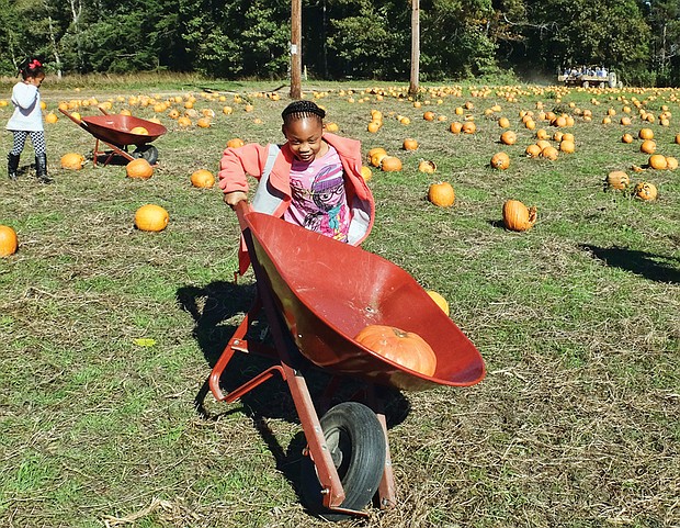 Pumpkin run //
Kamyra Hall, 8, is on the lookout for her next pumpkin pick at the Pumpkin Patch at Gallmeyer Farms in Eastern Henrico. Children of all ages excitedly picked pumpkins last Sunday, ran through a maze of hay bales, took a spooky house tour and went on hay rides at the farm that is open through Halloween.