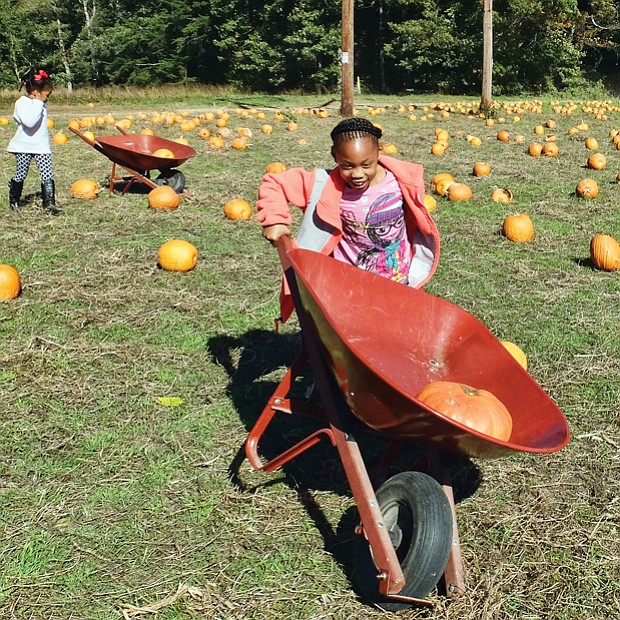 Pumpkin run //
Kamyra Hall, 8, is on the lookout for her next pumpkin pick at the Pumpkin Patch at Gallmeyer Farms in Eastern Henrico. Children of all ages excitedly picked pumpkins last Sunday, ran through a maze of hay bales, took a spooky house tour and went on hay rides at the farm that is open through Halloween.