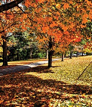 Fall in Forest Hill Park