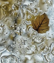 Rainy day in North Side