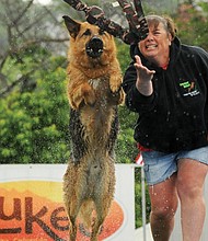 Clement Britt
Gina Johnston and Falco competed for top honors in the dog-leaping competition during Dominion River Rock festival on Brown’s Island in May.