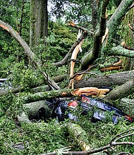 Brad Spangler takes a closer look at a car crushed under trees felled by a June storm that packed 70 mph winds, dropped 1.6 inches of rain and knocked out power to nearly 120,000 homes and businesses in Richmond and Henrico County. Location: Seminary and Claremont avenues in North Side.
