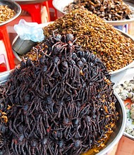 Cambodia cuisine tarantula